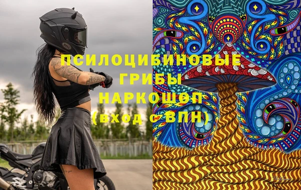 СК Нефтекумск