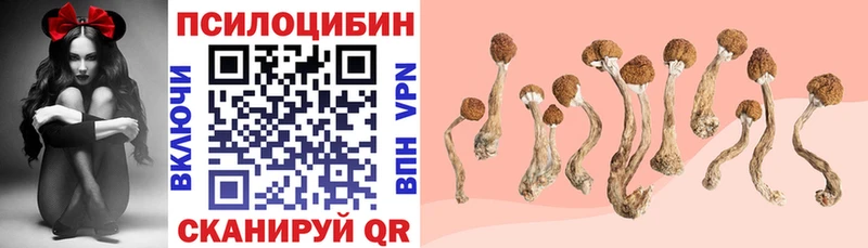 Псилоцибиновые грибы Cubensis Кисловодск