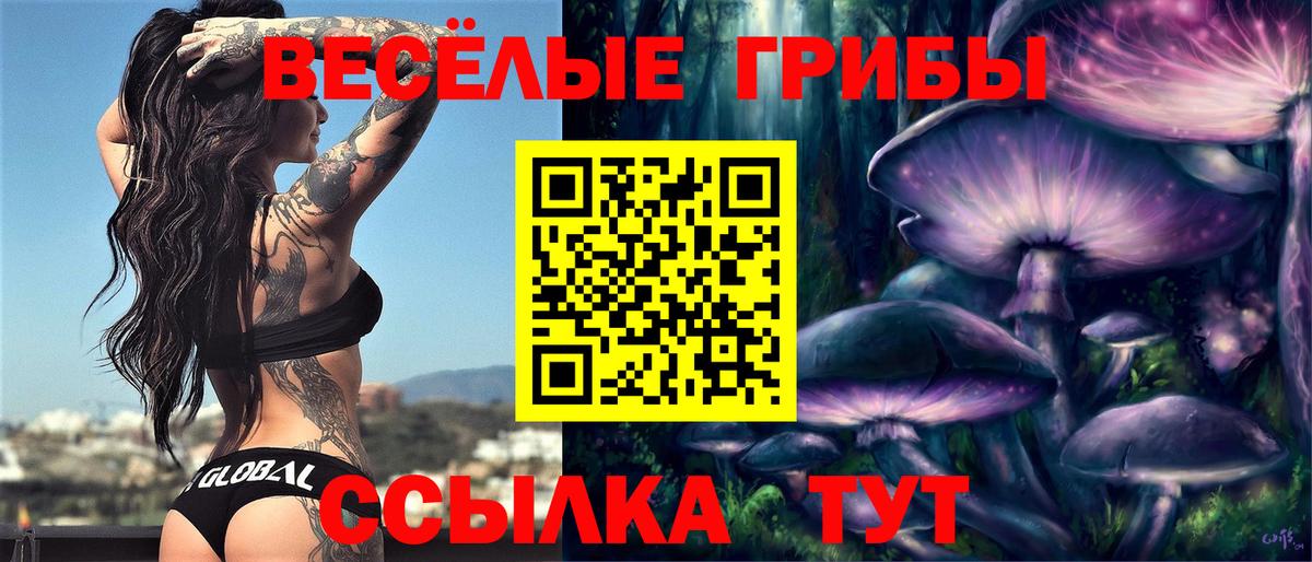 Кисловодск  Псилоцибиновые грибы Psilocybine cubensis  Галлюциногенные грибы Magic Shrooms  цена   Вход с VPN 